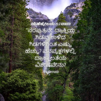Picture 04 - ಯೆಹೆಜ್ಕೇಲನು 15:2 KANIRV - “ನರಪುತ್ರನೇ, - Bible Verse Picture