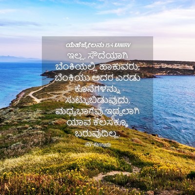 Picture 04 - ಯೆಹೆಜ್ಕೇಲನು 15:4 KANIRV - ಇಲ್ಲ, ಸೌದೆಯಾಗಿ - Bible Verse Picture