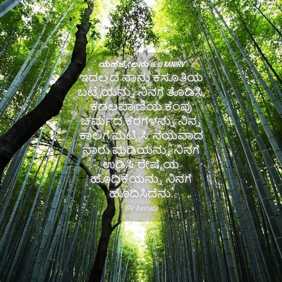 Picture 04 - ಯೆಹೆಜ್ಕೇಲನು 16:10 KANIRV - ಇದಲ್ಲದೆ ನಾನು - Bible Verse Picture
