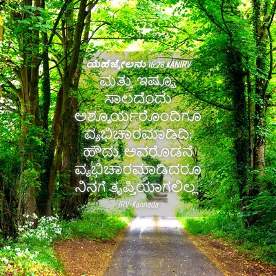 Picture 04 - ಯೆಹೆಜ್ಕೇಲನು 16:28 KANIRV - ಮತ್ತು ಇಷ್ಟೂ - Bible Verse Picture