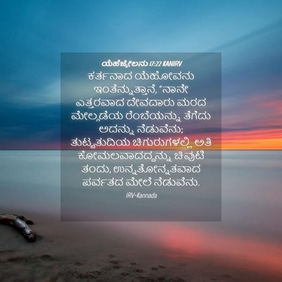 Picture 04 - ಯೆಹೆಜ್ಕೇಲನು 17:22 KANIRV - ಕರ್ತನಾದ ಯೆಹೋವನು - Bible Verse Picture