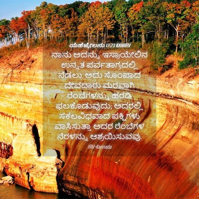 Picture 04 - ಯೆಹೆಜ್ಕೇಲನು 17:23 KANIRV - ನಾನು ಅದನ್ನು - Bible Verse Picture