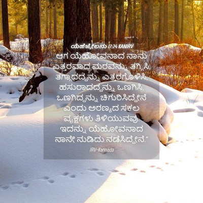 Picture 04 - ಯೆಹೆಜ್ಕೇಲನು 17:24 KANIRV - ಆಗ ಯೆಹೋವನಾದ ನಾನು - Bible Verse Picture