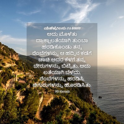 Picture 04 - ಯೆಹೆಜ್ಕೇಲನು 17:6 KANIRV - ಅದು ಮೊಳೆತು - Bible Verse Picture