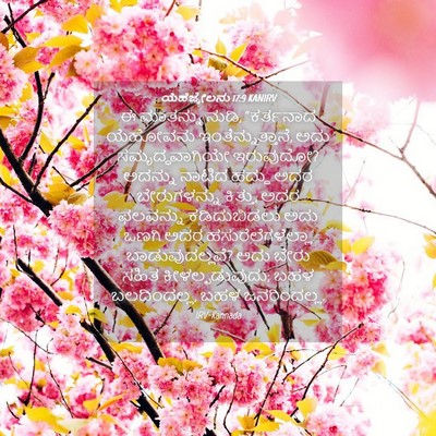 Picture 04 - ಯೆಹೆಜ್ಕೇಲನು 17:9 KANIRV - ಈ ಮಾತನ್ನು ನುಡಿ, - Bible Verse Picture