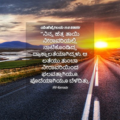 Picture 04 - ಯೆಹೆಜ್ಕೇಲನು 19:10 KANIRV - “‘ನಿನ್ನ ಹೆತ್ತ - Bible Verse Picture