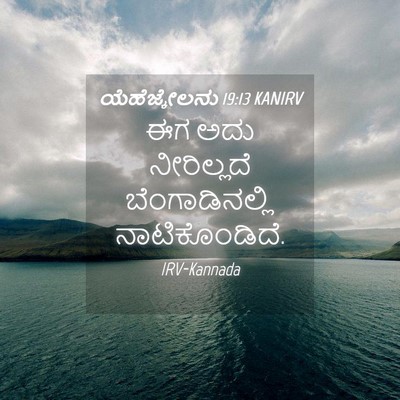 Picture 04 - ಯೆಹೆಜ್ಕೇಲನು 19:13 KANIRV - ಈಗ ಅದು ನೀರಿಲ್ಲದೆ - Bible Verse Picture