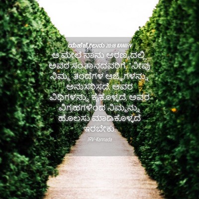 Picture 04 - ಯೆಹೆಜ್ಕೇಲನು 20:18 KANIRV - ಆ ಮೇಲೆ ನಾನು - Bible Verse Picture