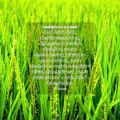 Picture 04 - ಯೆಹೆಜ್ಕೇಲನು 20:38 KANIRV - ನನಗೆ ತಿರುಗಿ - Bible Verse Picture