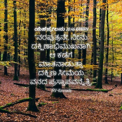 Picture 04 - ಯೆಹೆಜ್ಕೇಲನು 20:46 KANIRV - “ನರಪುತ್ರನೇ, ನೀನು - Bible Verse Picture