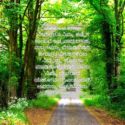 Picture 04 - ಯೆಹೆಜ್ಕೇಲನು 20:7 KANIRV - ‘ನೀವೆಲ್ಲರೂ ನಿಮ್ಮ - Bible Verse Picture