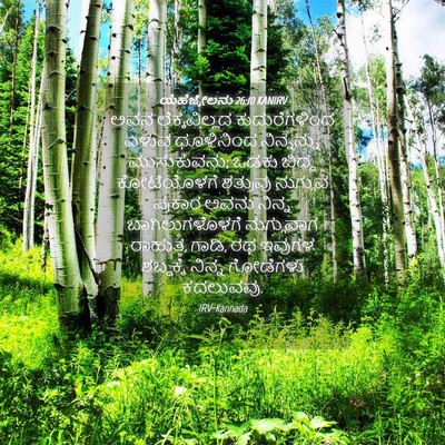 Picture 04 - ಯೆಹೆಜ್ಕೇಲನು 26:10 KANIRV - ಅವನ ಲೆಕ್ಕವಿಲ್ಲದ - Bible Verse Picture