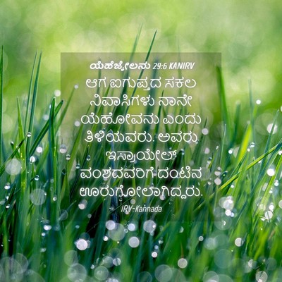 Picture 04 - ಯೆಹೆಜ್ಕೇಲನು 29:6 KANIRV - ಆಗ ಐಗುಪ್ತದ ಸಕಲ - Bible Verse Picture