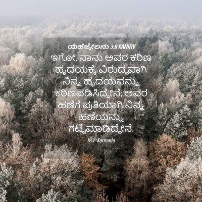 Picture 04 - ಯೆಹೆಜ್ಕೇಲನು 3:8 KANIRV - ಇಗೋ, ನಾನು ಅವರ ಕಠಿಣ - Bible Verse Picture