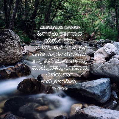 Picture 04 - ಯೆಹೆಜ್ಕೇಲನು 31:10 KANIRV - ಹೀಗಿರಲು ಕರ್ತನಾದ - Bible Verse Picture