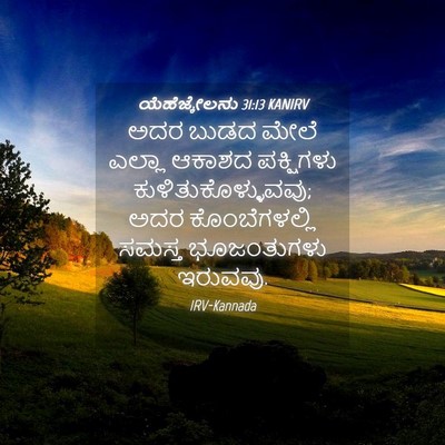 Picture 04 - ಯೆಹೆಜ್ಕೇಲನು 31:13 KANIRV - ಅದರ ಬುಡದ ಮೇಲೆ - Bible Verse Picture