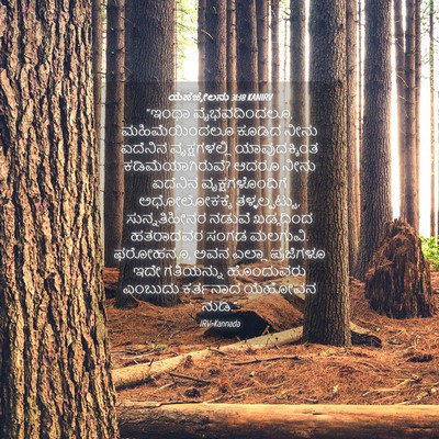Picture 04 - ಯೆಹೆಜ್ಕೇಲನು 31:18 KANIRV - “ಇಂಥಾ ವೈಭವದಿಂದಲೂ, - Bible Verse Picture