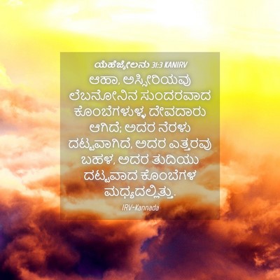 Picture 04 - ಯೆಹೆಜ್ಕೇಲನು 31:3 KANIRV - ಆಹಾ, ಅಸ್ಸೀರಿಯವು - Bible Verse Picture