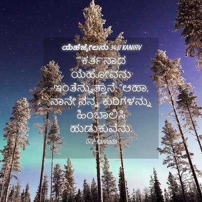 Picture 04 - ಯೆಹೆಜ್ಕೇಲನು 34:11 KANIRV - “‘ಕರ್ತನಾದ ಯೆಹೋವನು - Bible Verse Picture