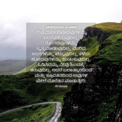 Picture 04 - ಯೆಹೆಜ್ಕೇಲನು 34:4 KANIRV - ನೀವು - Bible Verse Picture