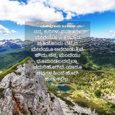 Picture 04 - ಯೆಹೆಜ್ಕೇಲನು 34:6 KANIRV - ನನ್ನ ಕುರಿಗಳು - Bible Verse Picture