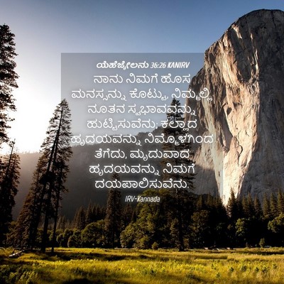 Picture 04 - ಯೆಹೆಜ್ಕೇಲನು 36:26 KANIRV - ನಾನು ನಿಮಗೆ ಹೊಸ - Bible Verse Picture