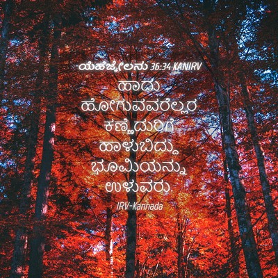 Picture 04 - ಯೆಹೆಜ್ಕೇಲನು 36:34 KANIRV - ಹಾದು ಹೋಗುವವರೆಲ್ಲರ - Bible Verse Picture