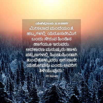 Picture 04 - ಯೆಹೆಜ್ಕೇಲನು 36:38 KANIRV - ಮೀಸಲಾದ ಮಂದೆಯಂತೆ, - Bible Verse Picture