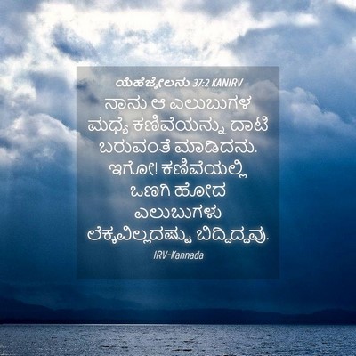 Picture 04 - ಯೆಹೆಜ್ಕೇಲನು 37:2 KANIRV - ನಾನು ಆ ಎಲುಬುಗಳ - Bible Verse Picture