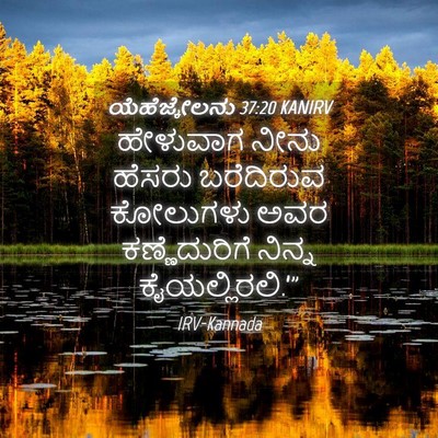 Picture 04 - ಯೆಹೆಜ್ಕೇಲನು 37:20 KANIRV - ಹೇಳುವಾಗ ನೀನು - Bible Verse Picture