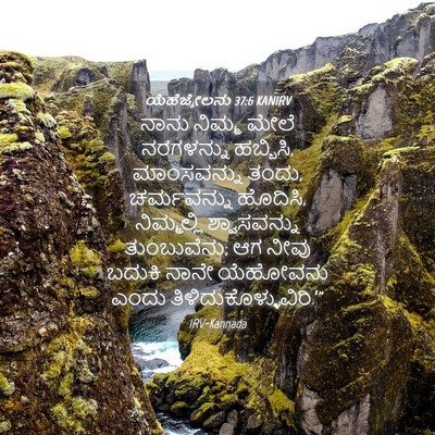 Picture 04 - ಯೆಹೆಜ್ಕೇಲನು 37:6 KANIRV - ನಾನು ನಿಮ್ಮ ಮೇಲೆ - Bible Verse Picture