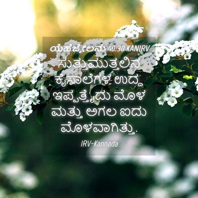 Picture 04 - ಯೆಹೆಜ್ಕೇಲನು 40:30 KANIRV - ಸುತ್ತುಮುತ್ತಲಿನ - Bible Verse Picture