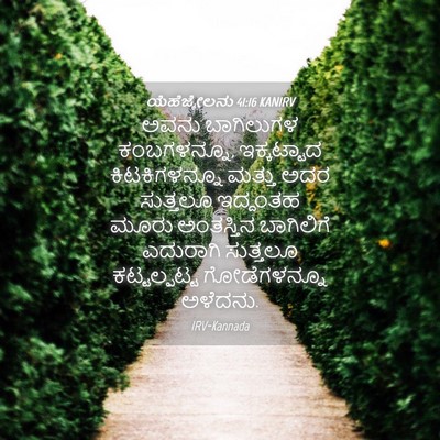 Picture 04 - ಯೆಹೆಜ್ಕೇಲನು 41:16 KANIRV - ಅವನು ಬಾಗಿಲುಗಳ - Bible Verse Picture