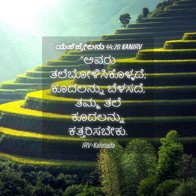 Picture 04 - ಯೆಹೆಜ್ಕೇಲನು 44:20 KANIRV - “ಅವರು - Bible Verse Picture