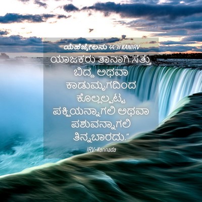 Picture 04 - ಯೆಹೆಜ್ಕೇಲನು 44:31 KANIRV - ಯಾಜಕರು ತಾನಾಗಿ - Bible Verse Picture