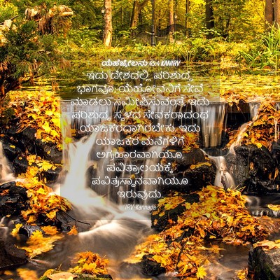 Picture 04 - ಯೆಹೆಜ್ಕೇಲನು 45:4 KANIRV - ಇದು ದೇಶದಲ್ಲಿ - Bible Verse Picture