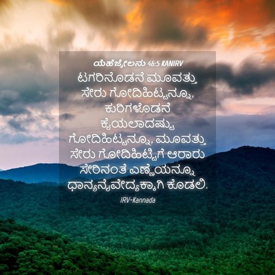 Picture 04 - ಯೆಹೆಜ್ಕೇಲನು 46:5 KANIRV - ಟಗರಿನೊಡನೆ ಮೂವತ್ತು - Bible Verse Picture