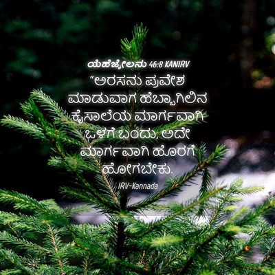 Picture 04 - ಯೆಹೆಜ್ಕೇಲನು 46:8 KANIRV - “ಅರಸನು ಪ್ರವೇಶ - Bible Verse Picture