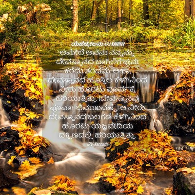 Picture 04 - ಯೆಹೆಜ್ಕೇಲನು 47:1 KANIRV - ಆಮೇಲೆ ಅವನು - Bible Verse Picture