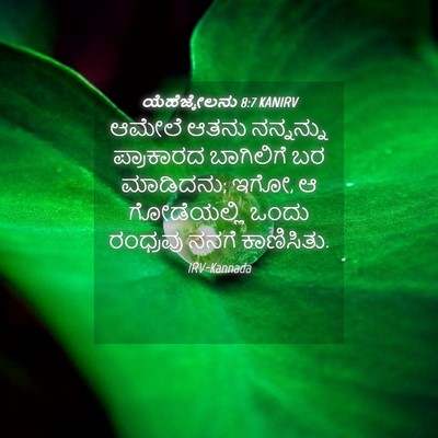 Picture 04 - ಯೆಹೆಜ್ಕೇಲನು 8:7 KANIRV - ಆಮೇಲೆ ಆತನು - Bible Verse Picture