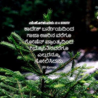 Picture 04 - ಯೆಹೋಶುವನು 10:41 KANIRV - ಕಾದೇಶ್ ಬರ್ನೇಯದಿಂದ - Bible Verse Picture