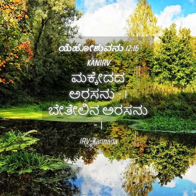 Picture 04 - ಯೆಹೋಶುವನು 12:16 KANIRV - ಮಕ್ಕೇದದ ಅರಸನು - 1 - Bible Verse Picture