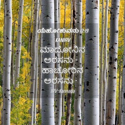 Picture 04 - ಯೆಹೋಶುವನು 12:19 KANIRV - ಮಾದೋನಿನ ಅರಸನು - 1 - Bible Verse Picture