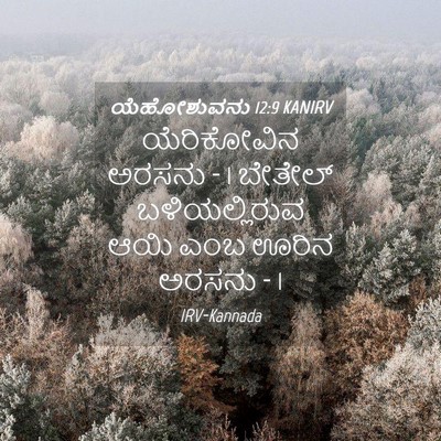 Picture 04 - ಯೆಹೋಶುವನು 12:9 KANIRV - ಯೆರಿಕೋವಿನ ಅರಸನು - 1 - Bible Verse Picture