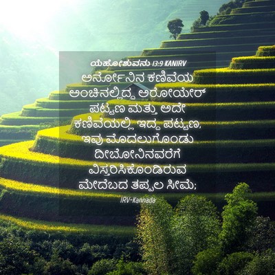 Picture 04 - ಯೆಹೋಶುವನು 13:9 KANIRV - ಅರ್ನೋನಿನ ಕಣಿವೆಯ - Bible Verse Picture