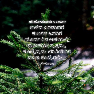 Picture 04 - ಯೆಹೋಶುವನು 14:3 KANIRV - ಉಳಿದ ಎರಡುವರೆ - Bible Verse Picture