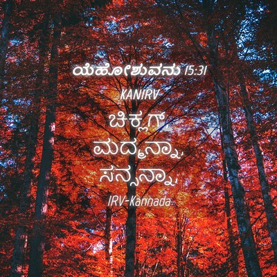 Picture 04 - ಯೆಹೋಶುವನು 15:31 KANIRV - ಚಿಕ್ಲಗ್, ಮದ್ಮನ್ನಾ, - Bible Verse Picture