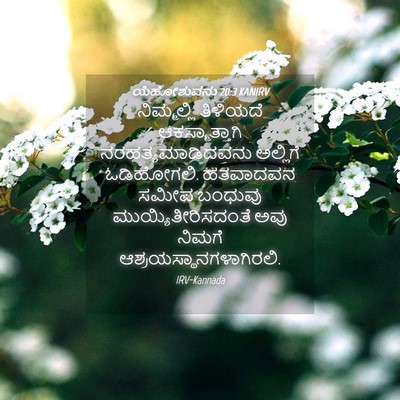 Picture 04 - ಯೆಹೋಶುವನು 20:3 KANIRV - ನಿಮ್ಮಲ್ಲಿ ತಿಳಿಯದೆ - Bible Verse Picture