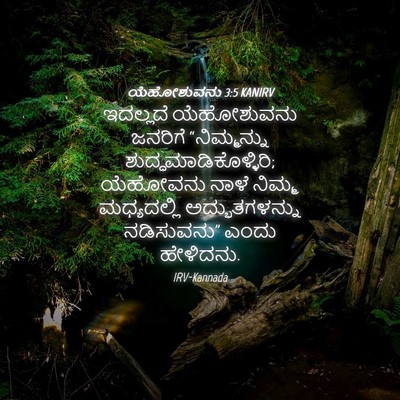Picture 04 - ಯೆಹೋಶುವನು 3:5 KANIRV - ಇದಲ್ಲದೆ ಯೆಹೋಶುವನು - Bible Verse Picture