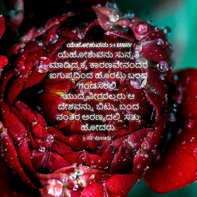 Picture 04 - ಯೆಹೋಶುವನು 5:4 KANIRV - ಯೆಹೋಶುವನು ಸುನ್ನತಿ - Bible Verse Picture